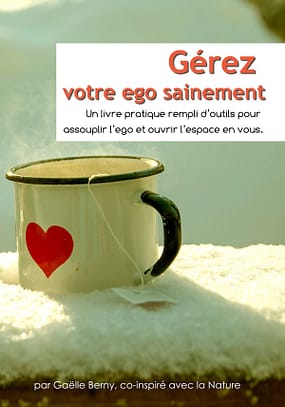 page de garde du livre gérez votre ego sainement