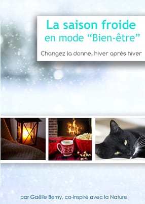 page de garde du livre la saison froide en mode bien-être