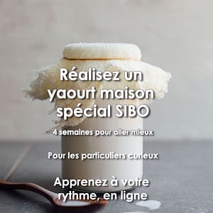 Transmission en ligne - Yaourt SIBO du Dr Davis